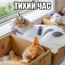 ���� �����, ���������, 48 ��� - ��������� 24 ������� 2014 � ������ ������ ��������