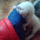 ������ ����� �������� �������=) �� ������� ���� ����������