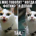 ���� ��������, ������, 28 ��� - ��������� 3 ������ 2014 � ������ ������ ��������