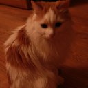 ���� ������, �����������, 49 ��� - ��������� 7 ������� 2014 � ������ ���� ����������