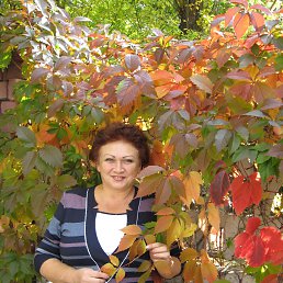 , 65, 