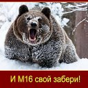 ���� ������, ������, 48 ��� - ��������� 15 ������ 2014