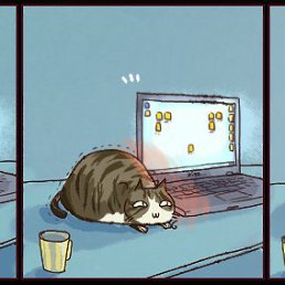 ���� ������, ��������, 37 ��� - ��������� 12 �������� 2014