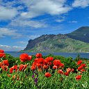 ���� ���������, ������, 43 ���� - ��������� 4 �������� 2014 � ������ ������ ��������