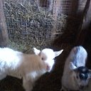 ���� ������, ��������, 69 ��� - ��������� 22 ������� 2014 � ������ ��� �������