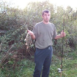 ���� ������, ����, 43 ���� - ��������� 8 �������� 2014