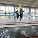 ���� ��������, ������, 52 ���� - ��������� 9 ������� 2014 � ������ ���� ����������