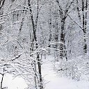 ���� �������, ���������, 52 ���� - ��������� 1 �������� 2014 � ������ ������ ��������