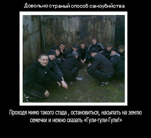 �������������� �� ���� �������� <a href=
