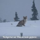 ���� ������, ������������, 54 ���� - ��������� 15 ������� 2014