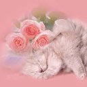 ���� N, ������ - ��������� 12 ������� 2014 � ������ ������ 02.10.09�