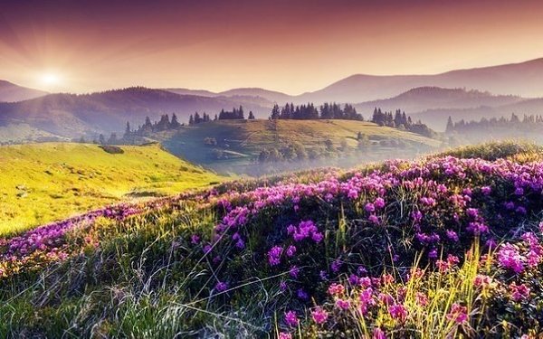 Есть духовный звук – это очень важный аспект нашей судьбы, потому что только он меняет наше знание. ...