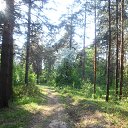  , , 60  -  28  2014     (    )