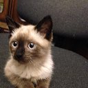 ���� �����, ������, 43 ���� - ��������� 2 �������� 2014