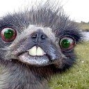 ���� �����, ���� - ��������� 29 �������� 2014 � ������ ������ ��������