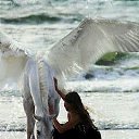 ���� ������, �����-���������, 55 ��� - ��������� 22 ������ 2014 � ������ ���� ����������