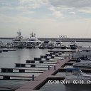  ., , 62  -  11  2014   