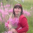 ���� �������, ������� - ��������� 2 ������� 2014 � ������ ���