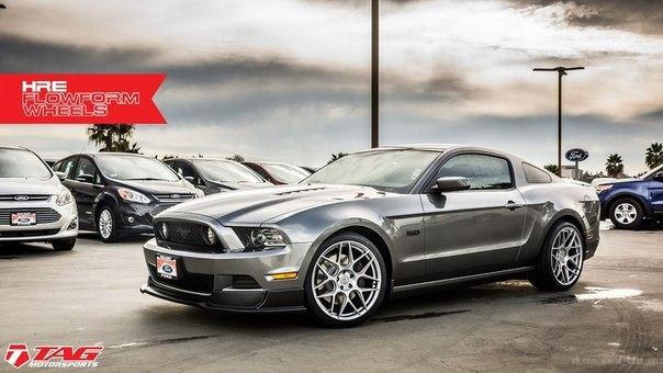 Ford Mustang GT.5.0L V8: 420 .. : 529 :  : ... - 3