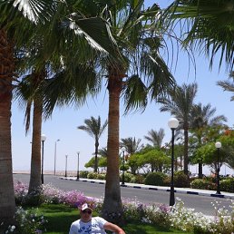 ������, ������, 45 ���