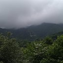 � �������� ���� �� ������� �������