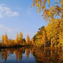 ����� �� ������� ����� ���!�