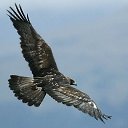 ���� �����, ������ ��������, 56 ��� - ��������� 26 �������� 2014 � ������ ���� ����������