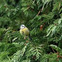 ���� Alexandra, �����������, 40 ��� - ��������� 13 ������ 2014 � ������ ���� ����������