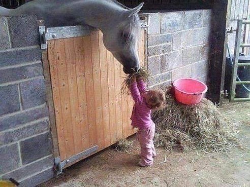 Ты же не забудешь про меня.... Когда я вырасту - привезешь мне принца)))))