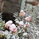 ���� ������, �������, 41 ��� - ��������� 18 ������� 2014 � ������ �������