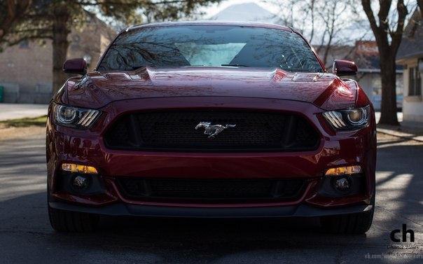 2015 Ford Mustang GT 5.0 - 2