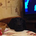 ���� ������*****, ������, 56 ��� - ��������� 15 �������� 2014 � ������ ���� ����������