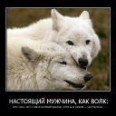 ���� �������, ������ - ��������� 13 �������� 2014 � ������ ���� ����������