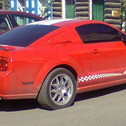 ����, ����, 49 ���