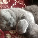 ���� �����, ���������, 62 ���� - ��������� 14 ������ 2014 � ������ ���������