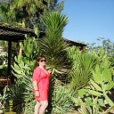 ���� �������, ��������� - ��������� 29 ������� 2014 � ������ ���� ����������