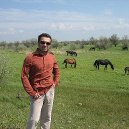 Amir, ������-��-����