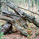 no comments �� ������� ������