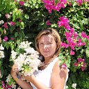 ���� �������, �����-��������� - ��������� 8 ������ 2014 � ������ ���� ����������