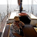 ������ 2014� �� ������� ���� ����������