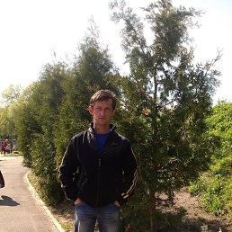 ���������, ������, 50 ���