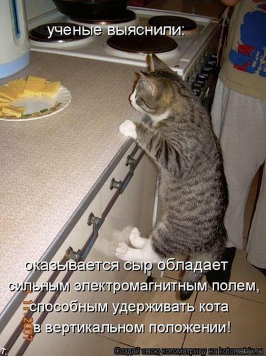  - 27  2014  07:03