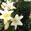 ���� �������, ������, 75 ��� - ��������� 30 �������� 2014