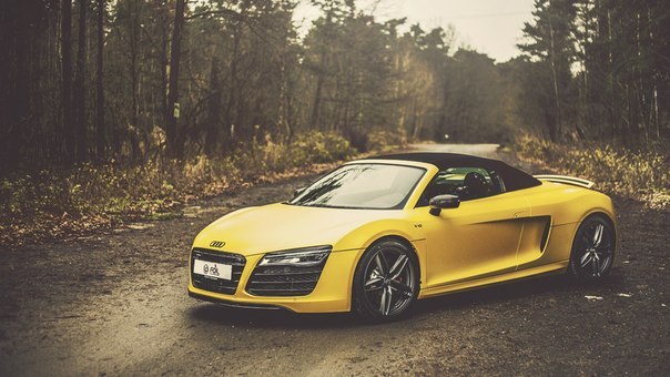 Audi R8