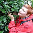 ���� �������, ������, 53 ���� - ��������� 25 ������ 2014 � ������ ����