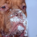 ���� Leonid, ������������, 55 ��� - ��������� 2 ������� 2014 � ������ ������� �� ������ � ����� ������ ����� ������,�