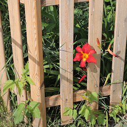 Gilly, �������, 26 ���