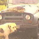 ���� ������, ������������, 65 ��� - ��������� 30 ������� 2014 � ������ ���� ����������