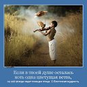 ���� ������, ������, 51 ��� - ��������� 30 ������� 2014 � ������ ������ ��������