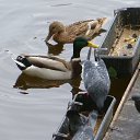 ���� ����c�, ���������� - ��������� 20 ������� 2014 � ������ �C����-���������